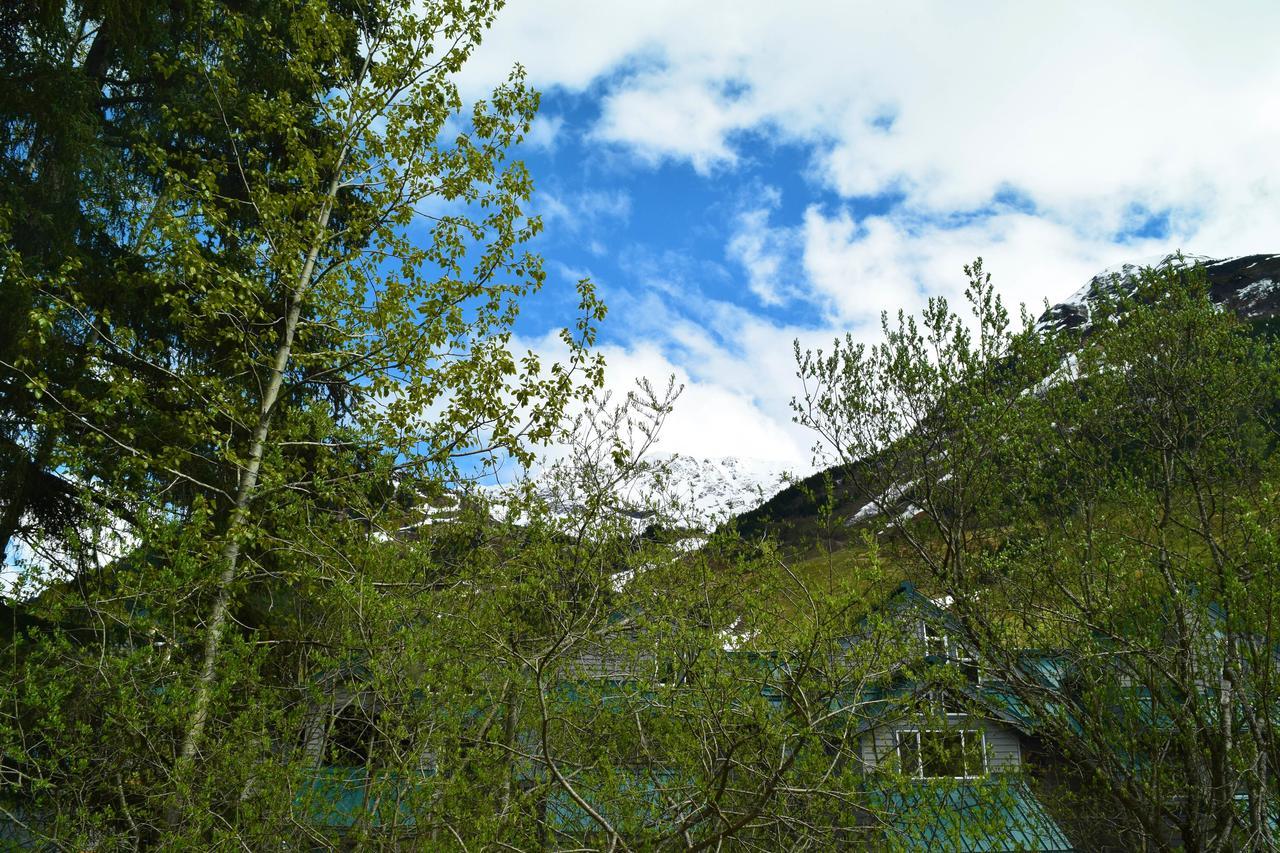 Snowbird Chalet #5 Girdwood Εξωτερικό φωτογραφία